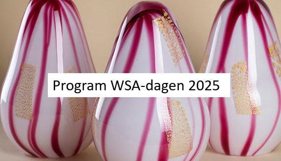 Program WSA-dagen 2025